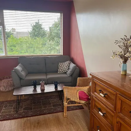 Big Family House * Dublín