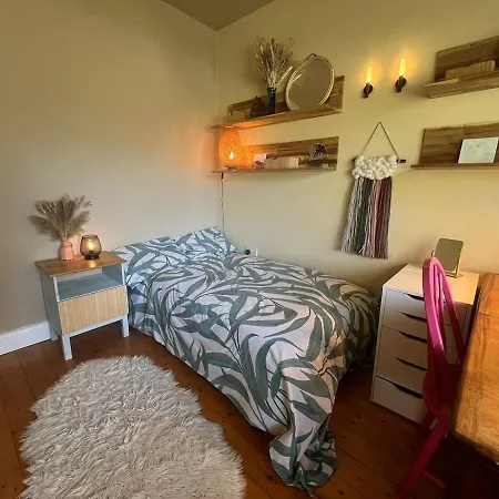 Big Family House * Dublín